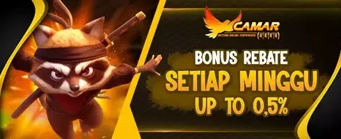 VIP Weekly Rebate Slot promotion